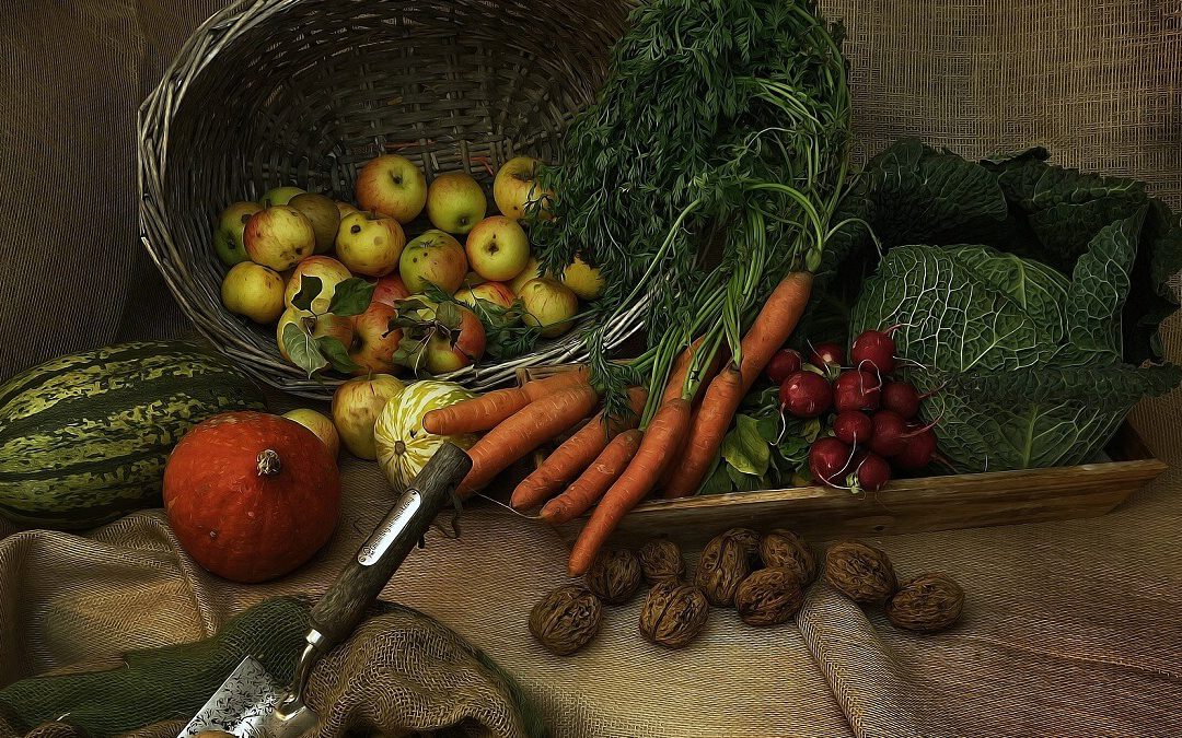 Gesundes Gemüse – was heißt das eigentlich?
